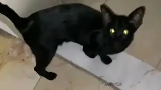 aw what a nice ca-