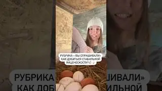 КАК ДОБИТЬСЯ СТАБИЛЬНОЙ ЯЙЦЕНОСКОСТИ? #деревня #краснодарскийкрай #жизньвдеревне #shorts #советы