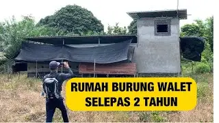 Rumah Burung Walet (RBW) Selepas 2 Tahun