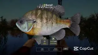 Russian fishing 4, Elk Lake beginners guide!