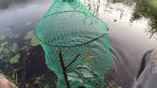 Рыбалка на реке Луга.