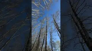 Весна в Новокурьяново, внутри экспериментального ЖД-кольца ВНИИЖТ 