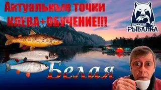The Belaya River. Learning how to fish with a spinning rod. Russian Fishing 4