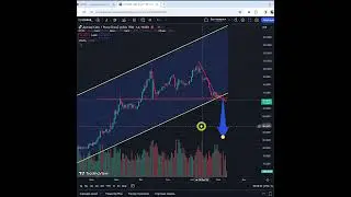 Прогноз курса доллара к рублю (USD/RUB) в свете новых экономических реформ