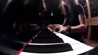 Live in Brazil - Rammstein - Deutschland | Vkgoeswild piano cover