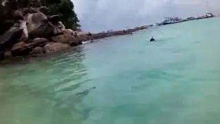 Пхукет остров рача яй