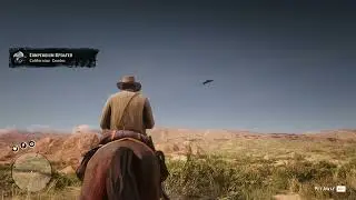 Red Dead Redemption 2 - Wild Life