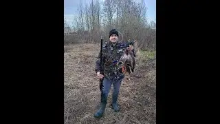 Вечерняя  Весенняя охота 2024 Мр 155