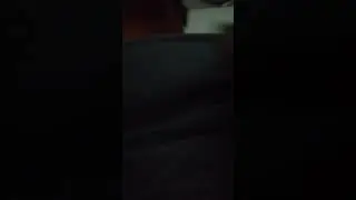 Стрим