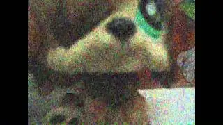 LPS MEP para Cute Cat LPS