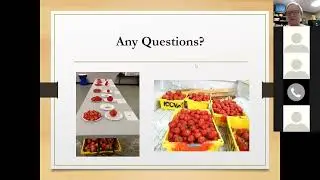 All About Tomatoes