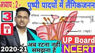 Biology Class 12 Chapter 2 - Sexual Reproduction In Flowering Plants in Hindi | Part 3