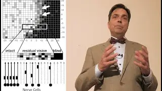 SAVIR Videoserie 3: Sehbehinderung und Restsehvermögen (Deutsche Version) | Prof. Bernhard Sabel