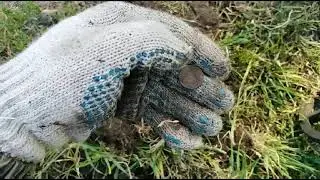 лесной коп