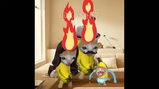 BANANA CAT 🍌🐱 BABY'S CAR WAS ROBBED AND GOT THE CAR BACK 