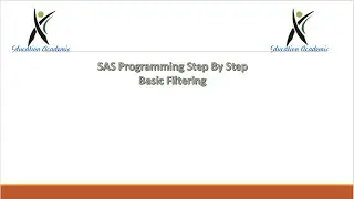SAS Programming StepByStep - Basic Filtering