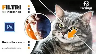 FILTRI DI PHOTOSHOP - Pennello secco
