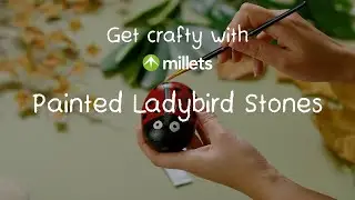 Get Crafty with Millets | How to Make Ladybird Painted Stones