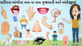 Body Parts Name | શરીરના અંગોના નામ | Human body parts | KidsTube