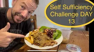 Self Sufficiency Challenge DAY 13