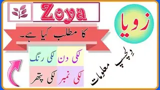 Zoya Name Meaning In Urdu (Girl Name زویا)(Status)& Many More information about Zoya
