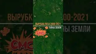 Вырубка леса с 2000 по 2021 / #33 Deforestation from 2000 to 2021 