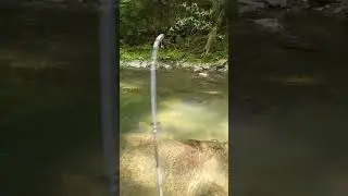 Trout Magnet Worm Fishing Brown Trout