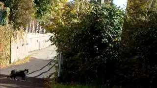 LE MERAVIGLIE DI COLORI  DI SETTEMBRE E OTTOBRE