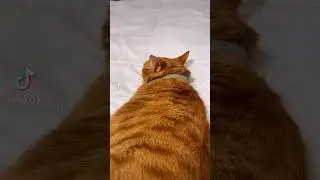 Prankem John!!