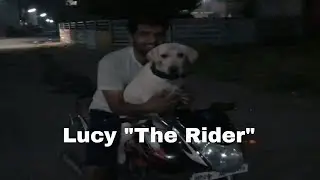 Lucy riding the bike  | Daily day observation