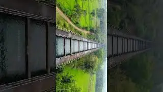 During all these years there existed within me a tendency to follow Nature in her walks...#ytshorts