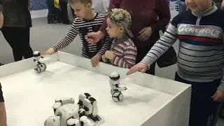 Робополис