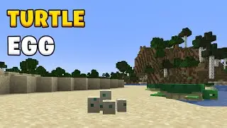How to get turtle eggs in Minecraft 1.21