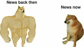 Most Relatable Memes 
