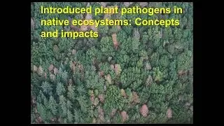 Introduced plant pathogens in native ecosystems: Concepts and impacts