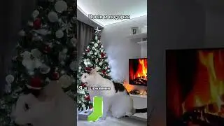 простите, что пропала! 😭 спасибо вам за 1000 подписчиков! 💗 