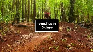 Omul Spin - 3 days