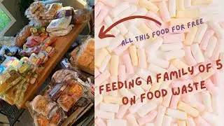Feeding a family of 5 on free food! Cutting costs and reducing food waste. Money saving tips..