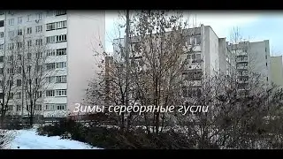 «Зимы серебряные гусли» так в народе называют свиристелей, их песню.