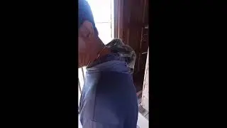 rare animal