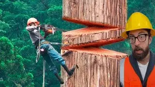 12 Minutes Of Satisfying Videos Of Workers Doing Their Job Perfectly | Best Moments