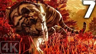 Shangri-La｜Far Cry 4｜Part 7｜4K