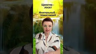 собутильник  #нмтукраїнська #news #репетитор  #education