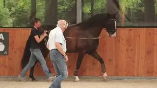 Langeteugelclinic 26 juli 2020