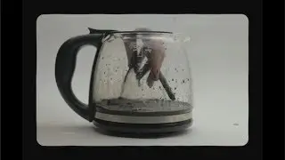 mija - no surprises (radiohead cover)