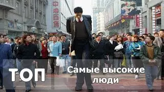 Топ 5 - Самых высоких людей в мире