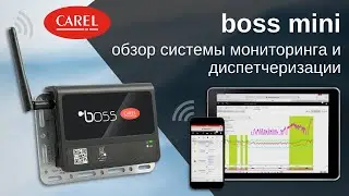 CAREL boss mini: обзор