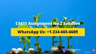 CS411 Assignment No 2 Solution Spring 2022 | CS411 Assignment 2 Solution Spring 2022