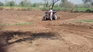 Massey 240 1983 model