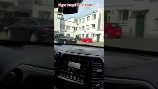 Сколько стоит водительское удостоверение в 2024 году👇часть 1